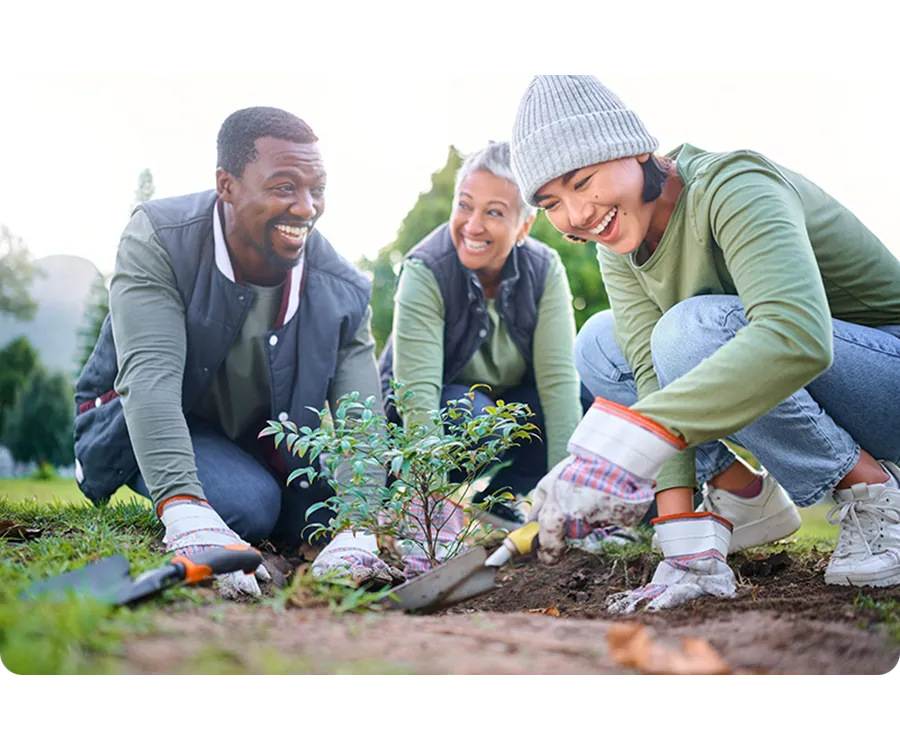 Why local is the future of volunteering -  lessons from Devon Connect